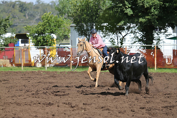NimmitabelCampdraft2015_0552