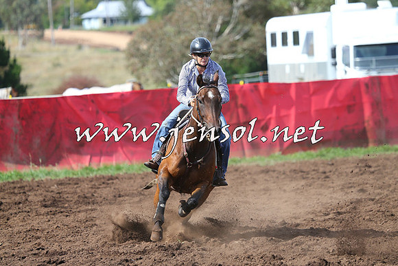 NimmitabelCampdraft2015_0529
