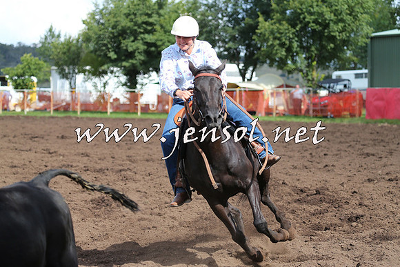 NimmitabelCampdraft2015_0475