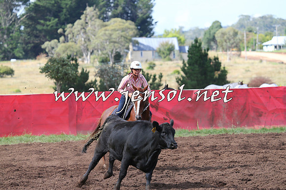 NimmitabelCampdraft2015_0478