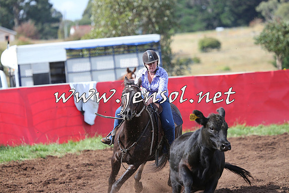 NimmitabelCampdraft2015_0599