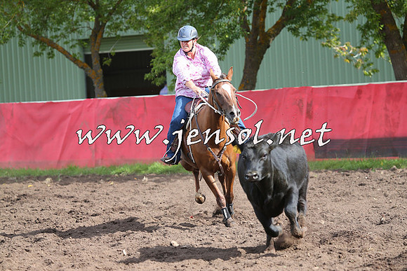 NimmitabelCampdraft2015_0569