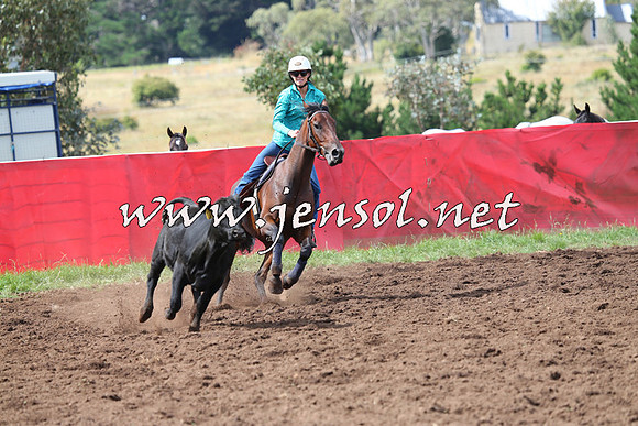NimmitabelCampdraft2015_0330