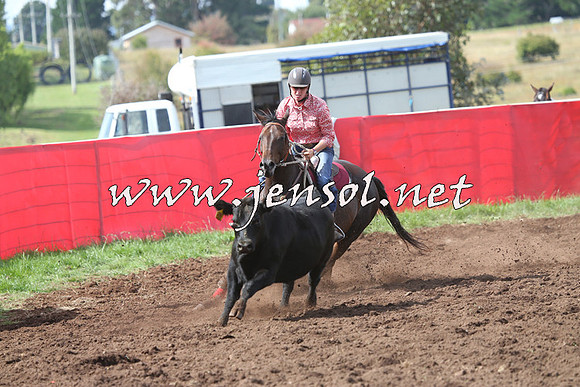 NimmitabelCampdraft2015_0412