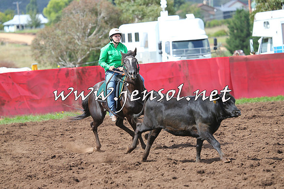 NimmitabelCampdraft2015_0388
