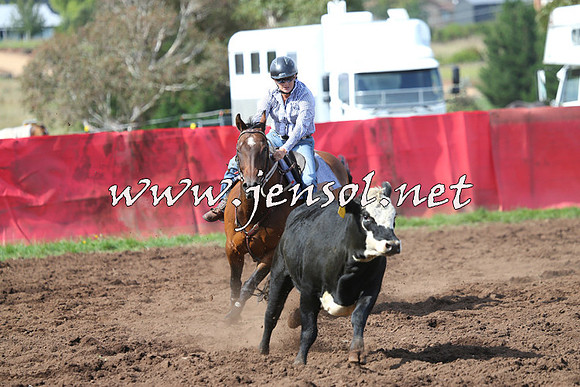 NimmitabelCampdraft2015_0533