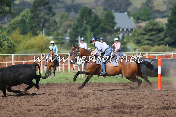 NimmitabelCampdraft2015_0543