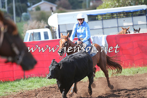NimmitabelCampdraft2015_0521