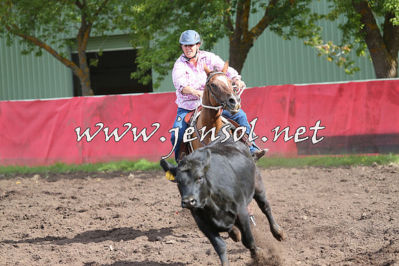 NimmitabelCampdraft2015_0572