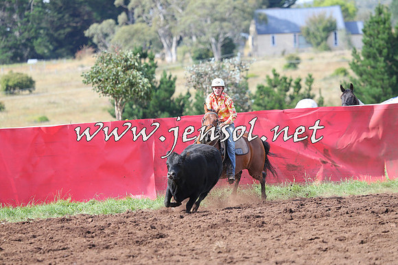 NimmitabelCampdraft2015_0576
