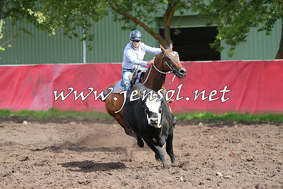 NimmitabelCampdraft2015_0537