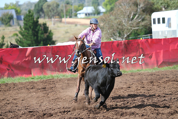 NimmitabelCampdraft2015_0566