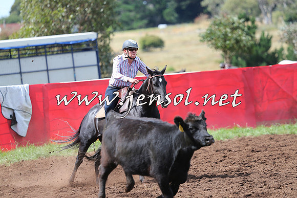 NimmitabelCampdraft2015_0305