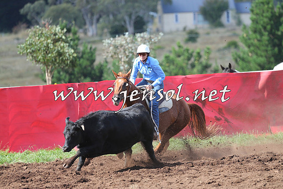 NimmitabelCampdraft2015_0513