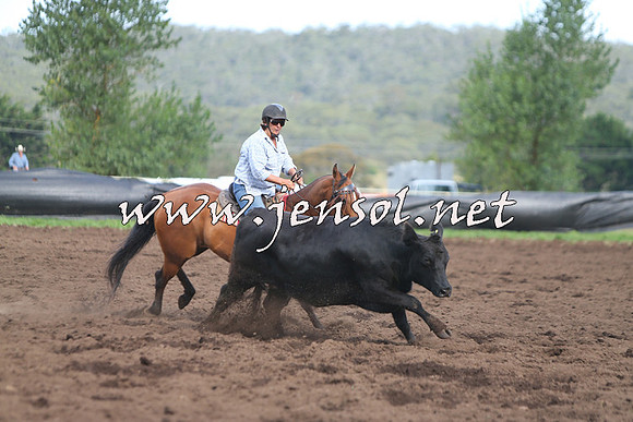 NimmitabelCampdraft2015_0641