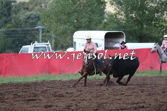 NimmitabelCampdraft2015_0491