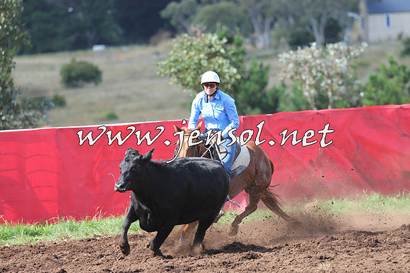 NimmitabelCampdraft2015_0509