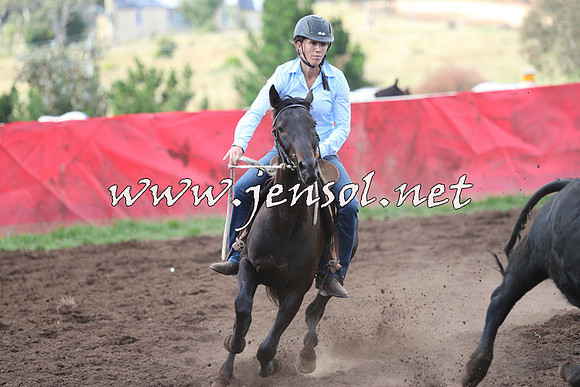 NimmitabelCampdraft2015_0399