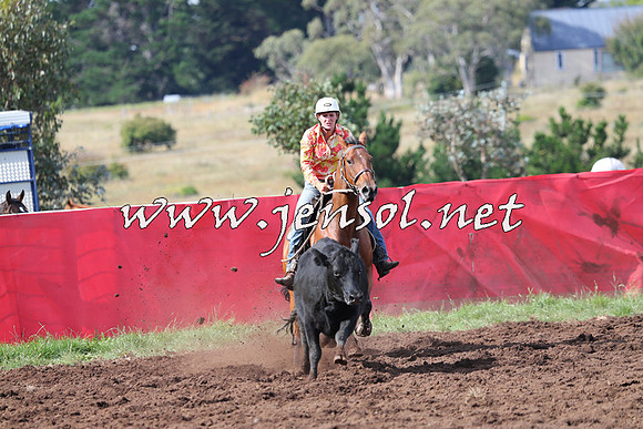 NimmitabelCampdraft2015_0588
