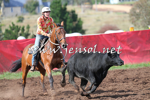 NimmitabelCampdraft2015_0584