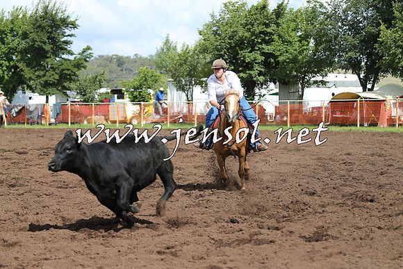 NimmitabelCampdraft2015_0380
