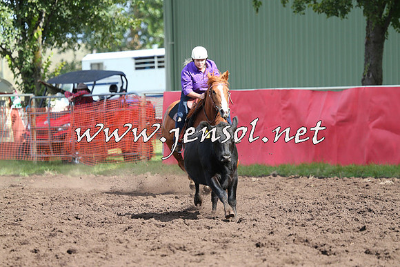 NimmitabelCampdraft2015_0562