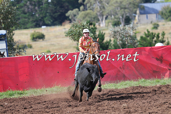 NimmitabelCampdraft2015_0590