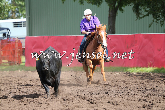 NimmitabelCampdraft2015_0559