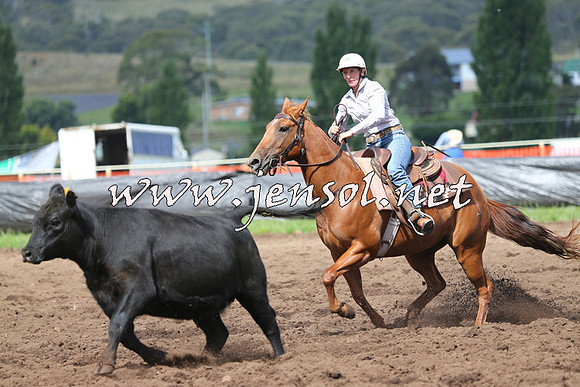 NimmitabelCampdraft2015_0353