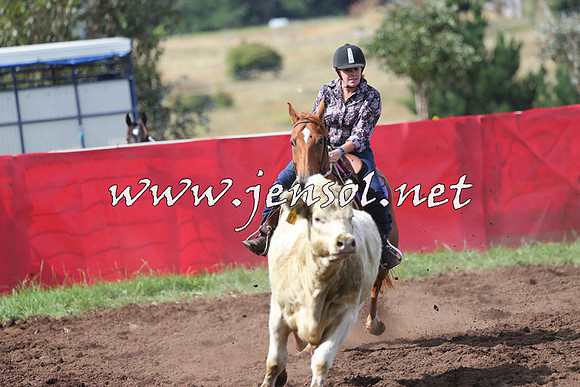 NimmitabelCampdraft2015_0456