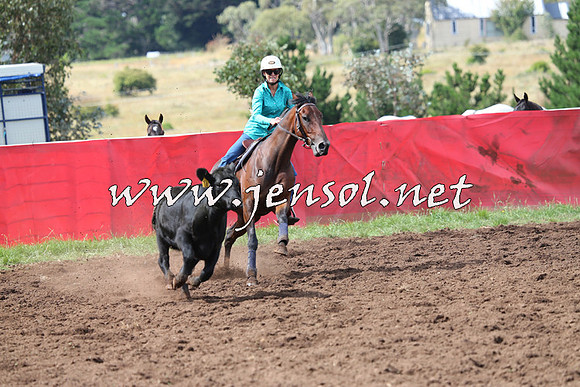 NimmitabelCampdraft2015_0329