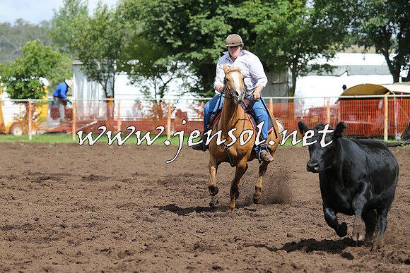 NimmitabelCampdraft2015_0381