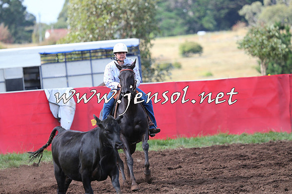 NimmitabelCampdraft2015_0462