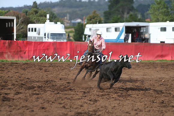 NimmitabelCampdraft2015_0651