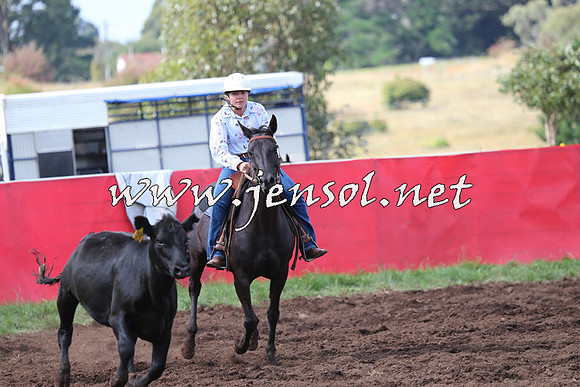 NimmitabelCampdraft2015_0466