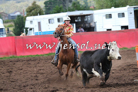 NimmitabelCampdraft2015_0359