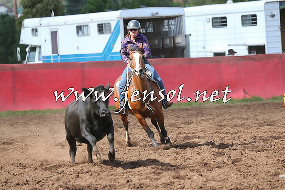 NimmitabelCampdraft2015_0495