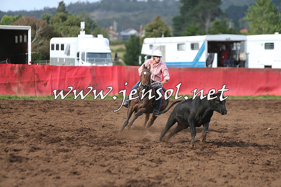 NimmitabelCampdraft2015_0653