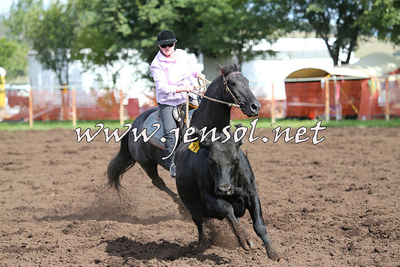 NimmitabelCampdraft2015_0595