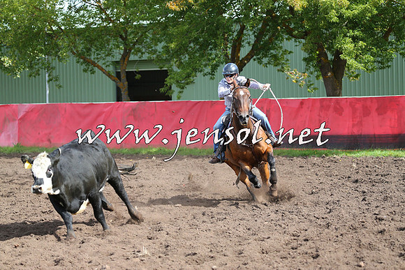 NimmitabelCampdraft2015_0542