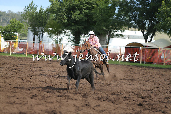 NimmitabelCampdraft2015_0654