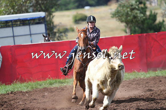 NimmitabelCampdraft2015_0455