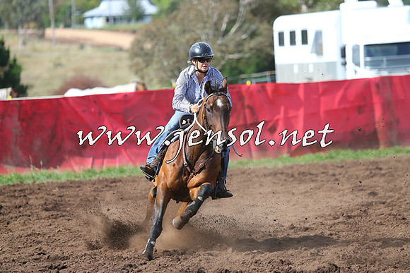 NimmitabelCampdraft2015_0528