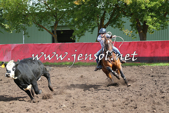 NimmitabelCampdraft2015_0541