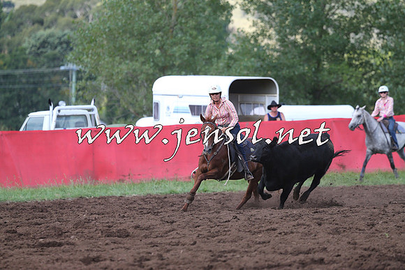 NimmitabelCampdraft2015_0492