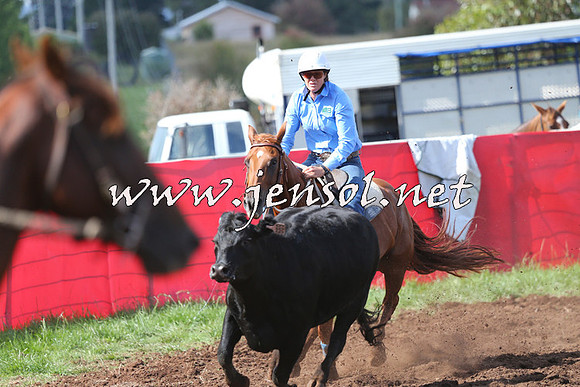NimmitabelCampdraft2015_0518
