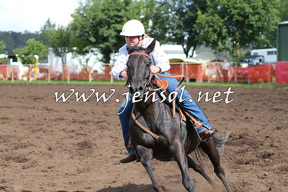 NimmitabelCampdraft2015_0474