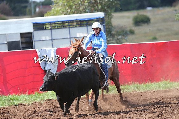 NimmitabelCampdraft2015_0510