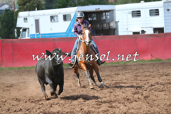 NimmitabelCampdraft2015_0496