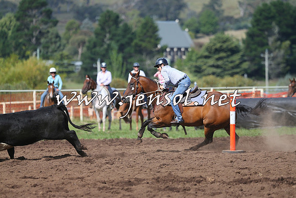 NimmitabelCampdraft2015_0544